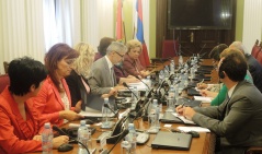 20. јун 2014. Председник и чланови Одбора за људска и мањинска права и равноправност полова разговарали са делегацијом Радне групе УН за присилне нестанке